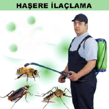 Akyaka Böcek İlaçlama